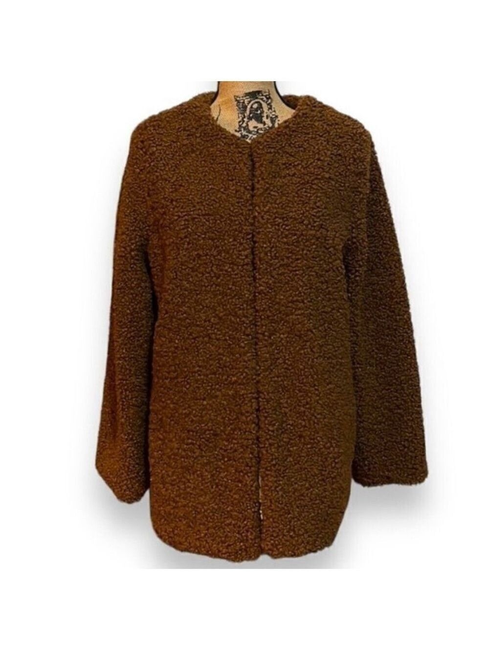 Teddy Jacket Coat Women’s Size Medium Brown Max Studio